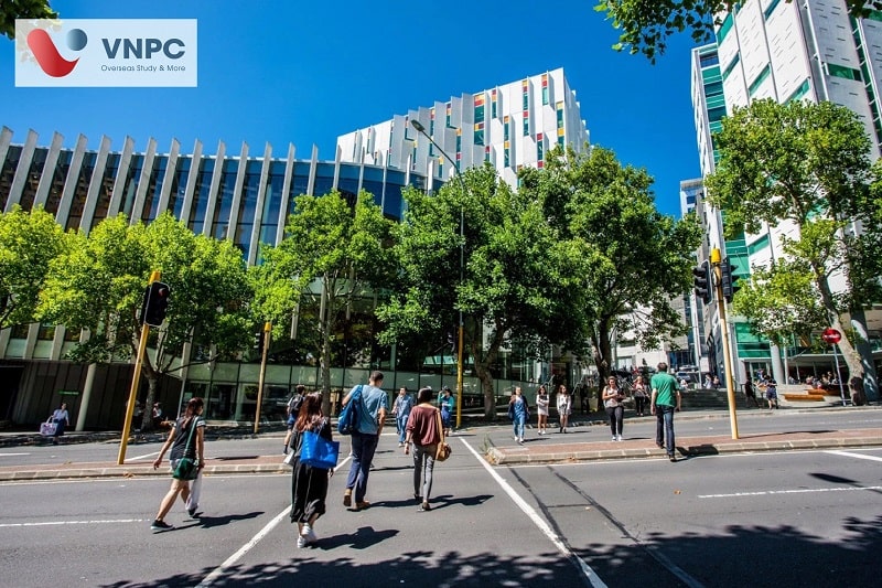 the university of auckland